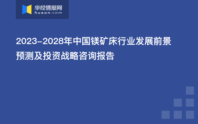 2023-2028年中国镁矿床行业发展前景预测及投资战略咨询报告
