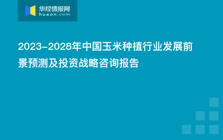 2023-2028年中国玉米种植行业发展前景预测及投资战略咨询报告